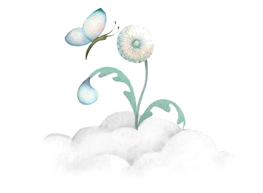 ambiente sostenibile Aranciablù cooperativa Siena