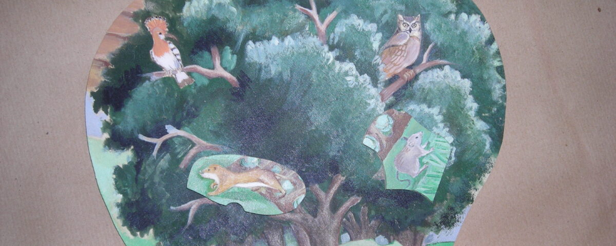 materiale didattico laboratori formativi