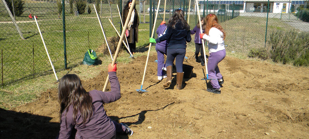 laboratorio orto con i bambini