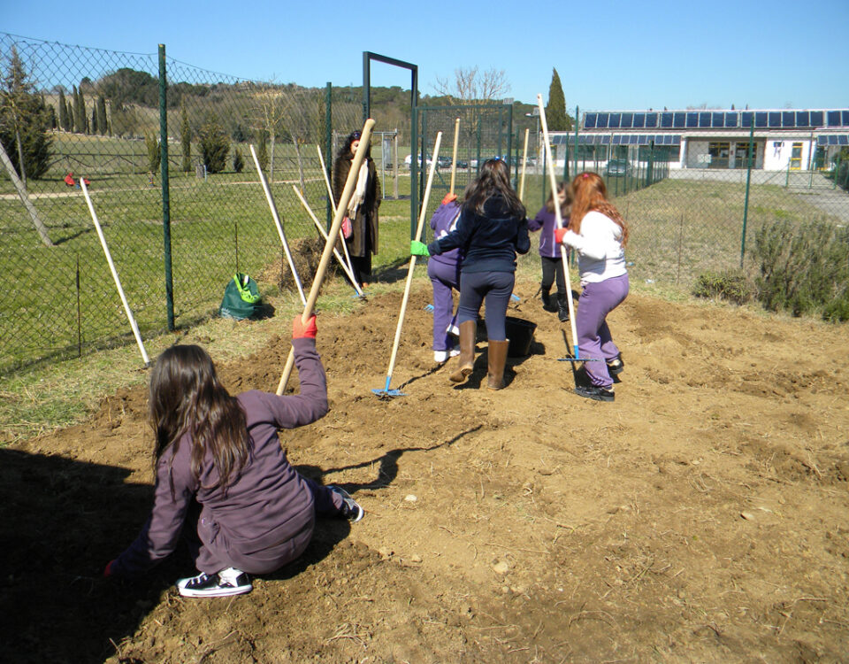 laboratorio orto con i bambini